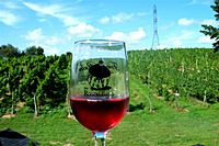Archivo:Cranberry wine