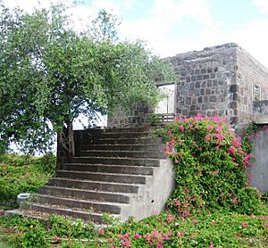 Archivo:De Graaff estate in Sint Eustatius