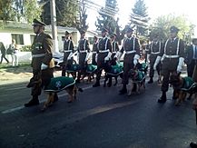 Archivo:Desfile de Carabineros con Perros