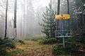 Disc golf basket on Hole 1 on the private 9-hole disc golf course at the Canada Creek Ranch in Atlanta, Michigan