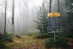 Disc golf basket on Hole 1 on the private 9-hole disc golf course at the Canada Creek Ranch in Atlanta, Michigan.jpg