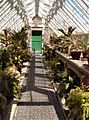 Heligan Greenhouse
