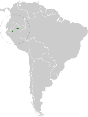Archivo:Herpsilochmus gentryi map