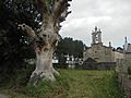 IgrexaPedrafita