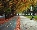 Imagen parque ecuador