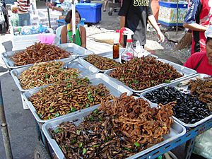 Archivo:Insect food stall