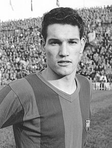 Joan Segarra Iracheta portrait.jpg