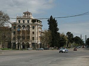 Archivo:Kostava Street, Rustavi (Photo A. Muhranoff, 2011)