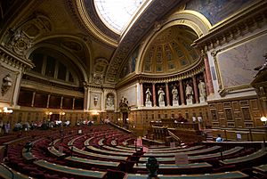 Archivo:L'hémicycle du Sénat français en septembre 2009