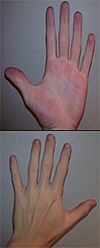 LeftHand0.jpg