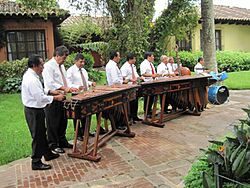 Archivo:Marimba-accompainment-antigua-hotel
