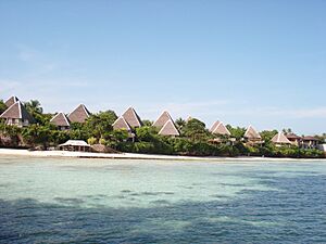 Archivo:Panglao Natures Park