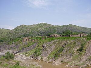 Archivo:Pharwala Fort