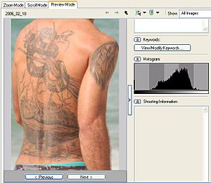 Archivo:Photo with histogram