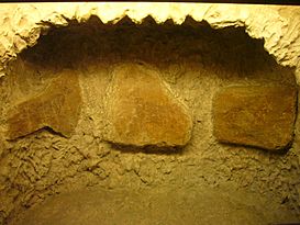 Pintures de la Cova dels Moros - Museu d'Arqueologia de Catalunya (Barcelona).JPG