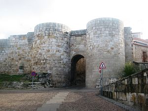 Archivo:Puerta de Doña Urraca