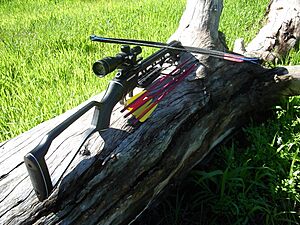 Archivo:Recurve crossbow with bolts