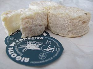 Archivo:Rigottes de Condrieu - fromage AOC