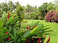 Sankyo Garden - DSC01317