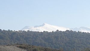 Archivo:Sierra Nevada desde Huétor Santillán (Granada)
