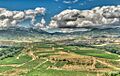 Vista de La Rioja desde Briones