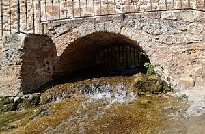 Archivo:1 Alcantarilla de la Fuente. Castil de Lences-BU (3)