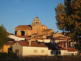 Vista general del pueblo, destacando la iglesia de Santa María la Real.