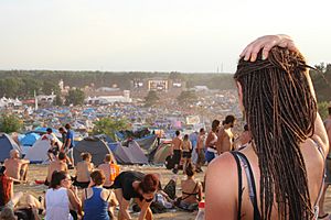 Archivo:2013 Woodstock 123