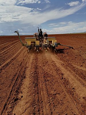 Archivo:Agricultura.ping