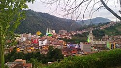 Andes desde el estadero mirador andino.jpg