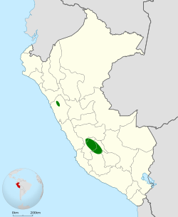 Distribución geográfica del canastero de Huancavelica.