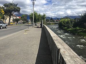 Archivo:Avenida 12 de Abril con el rio Tomebamba