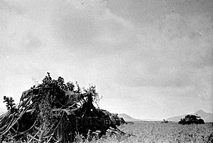 Archivo:Battle of Lake Khasan-Camouflaged soviet tanks