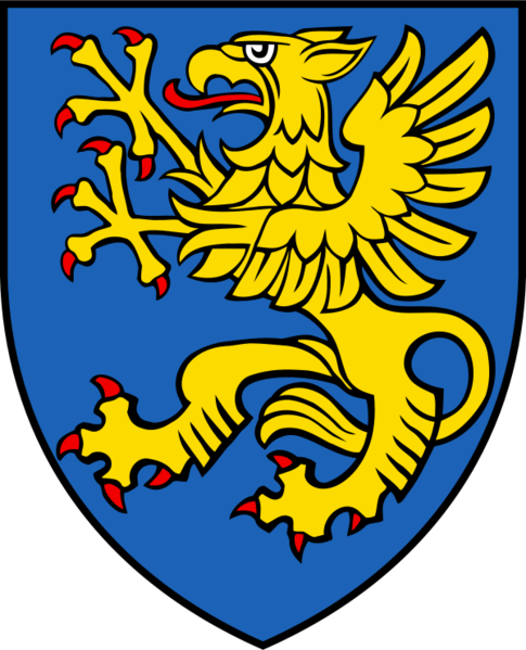 CHE Noville COA