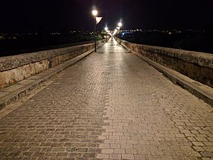 Archivo:Calzada del puente romano de Mérida
