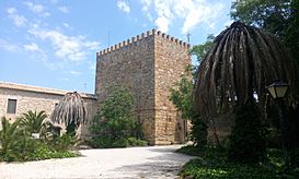 Castillo de Espelúy02.jpg