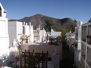 Archivo:Cementerio de Salamanca (Chile) 3