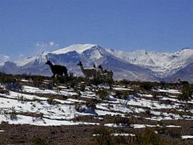 Cerro Sillajhuay.jpg