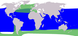 Verde: distribución del calderón común; azul: distribución del calderón tropical.