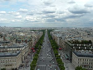 Archivo:Champs-Elysees-InSummer