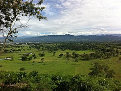 Archivo:El Valle de Laboyos, Pitalito - Huila - Colombia