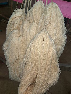 Archivo:Eri silk fiber