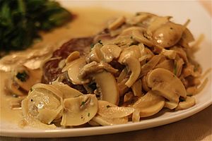 Archivo:Filet mignon with mushroom-cream sauce