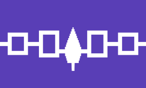 Archivo:Flag of the Iroquois Confederacy
