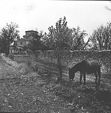 Archivo:Fundación Joaquín Díaz - Ermita de Nuestra Señora de la Anunciada - Urueña (Valladolid) (9)