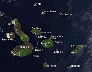 Archivo:Galapagos-satellite-esislandnames