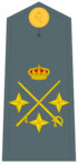 Divisa de teniente general