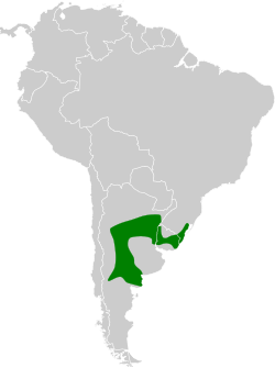 Distribución geográfica del cardenal amarillo.