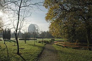 Archivo:Jodrell.Bank.Telescope.From.Arboretum