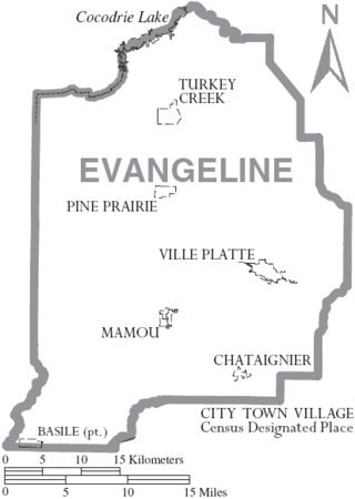 Map of Evangeline Parish Louisiana With Municipal Labels.PNG